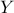 \displaystyle{Y}