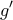 \displaystyle{{g'}}