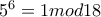 5^6=1mod18