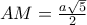 AM=\frac{a\sqrt{5}}{2}