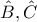 \hat{B} , \hat{C} 