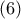 \left ( 6 \right )