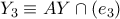 \displaystyle{{Y_3} \equiv AY \cap \left( {{e_3}} \right)}