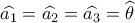 \widehat {{a_1}} = \widehat {{a_2}} = \widehat {{a_3}} = \widehat {\theta _{}^{}}