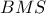 BMS